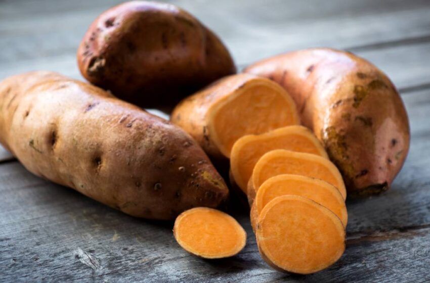 Beneficios del Camote