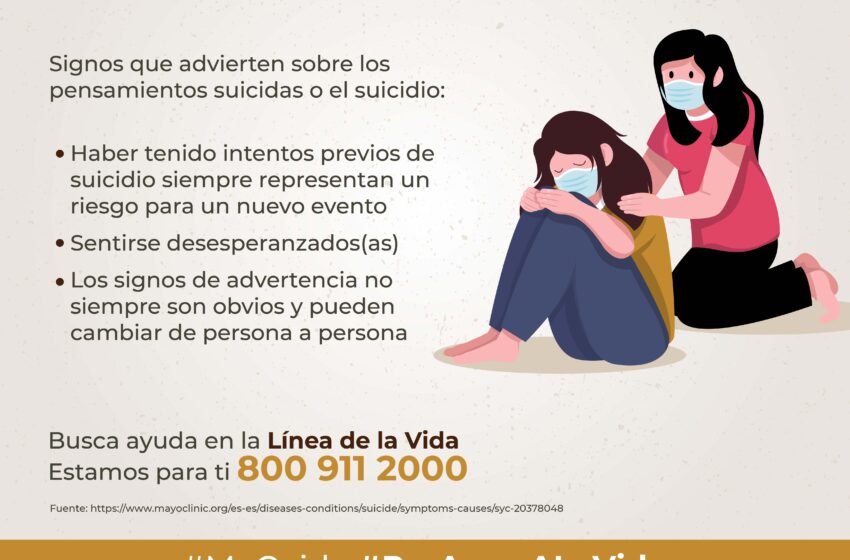  Prevención del suicidio debe considerar factores de riesgo y de protección